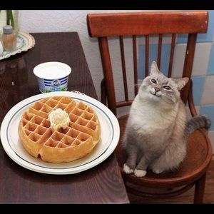 Meet your Posher, Clay